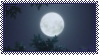 moon stamp